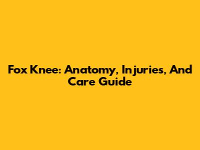 Fox Knee: Anatomy, Injuries, And Care Guide