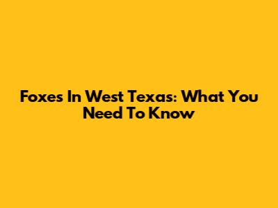 Foxes In West Texas: What You Need To Know