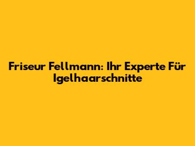 Friseur Fellmann: Ihr Experte Für Igelhaarschnitte