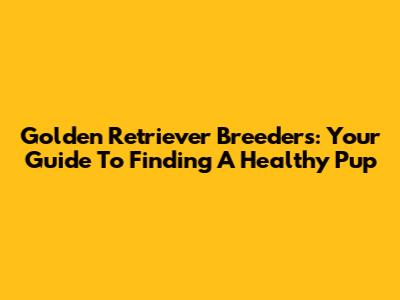 Golden Retriever Breeders: Your Guide To Finding A Healthy Pup