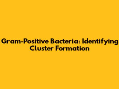 Gram-Positive Bacteria: Identifying Cluster Formation