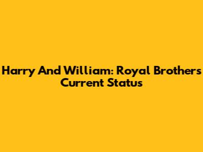 Harry And William: Royal Brothers' Current Status