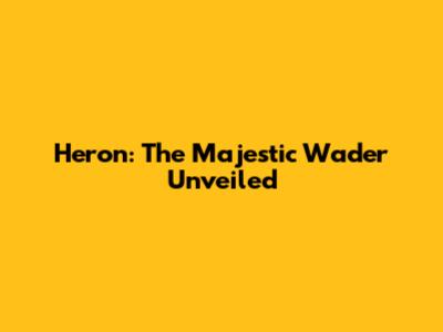 Heron: The Majestic Wader Unveiled