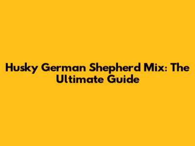 Husky German Shepherd Mix: The Ultimate Guide