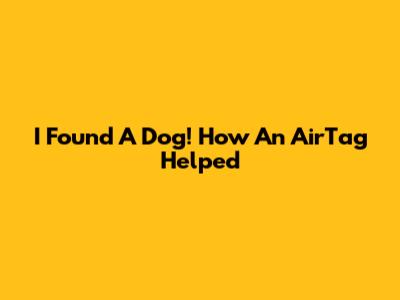 I Found A Dog! How An AirTag Helped
