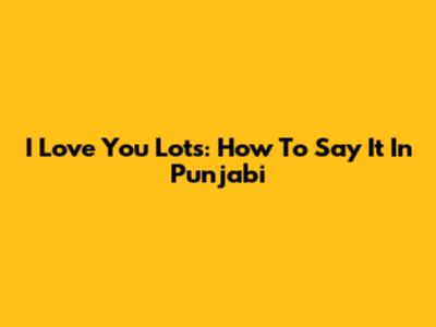 I Love You Lots: How To Say It In Punjabi