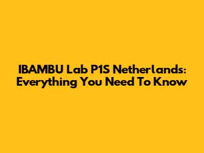 IBAMBU Lab P1S Netherlands: Everything You Need To Know