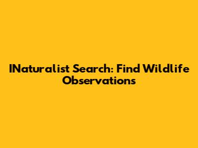 INaturalist Search: Find Wildlife Observations