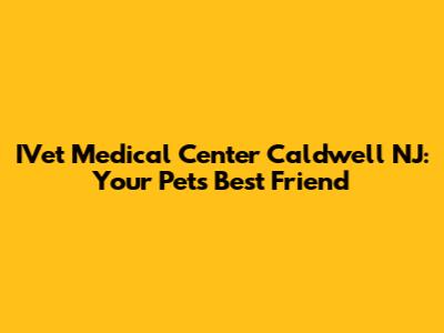 IVet Medical Center Caldwell NJ: Your Pet's Best Friend