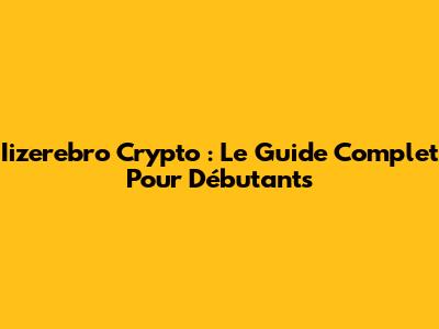 Iizerebro Crypto : Le Guide Complet Pour Débutants