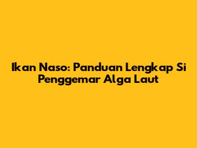Ikan Naso: Panduan Lengkap Si Penggemar Alga Laut