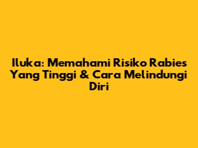 Iluka: Memahami Risiko Rabies Yang Tinggi & Cara Melindungi Diri