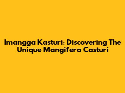 Imangga Kasturi: Discovering The Unique Mangifera Casturi