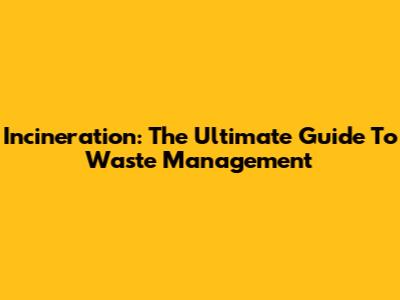Incineration: The Ultimate Guide To Waste Management