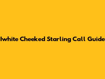 Iwhite Cheeked Starling Call Guide