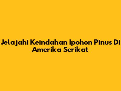 Jelajahi Keindahan Ipohon Pinus Di Amerika Serikat