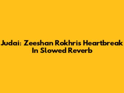 Judai: Zeeshan Rokhri's Heartbreak In Slowed Reverb