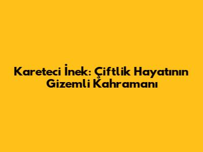 Kareteci İnek: Çiftlik Hayatının Gizemli Kahramanı