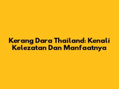 Kerang Dara Thailand: Kenali Kelezatan Dan Manfaatnya
