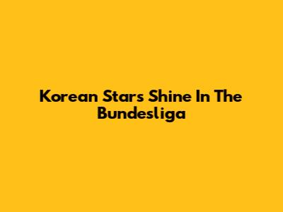 Korean Stars Shine In The Bundesliga
