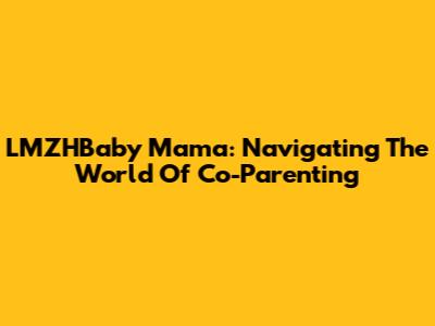 LMZHBaby Mama: Navigating The World Of Co-Parenting