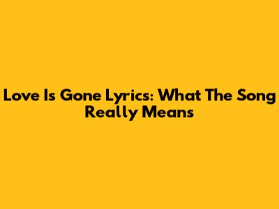 Love Is Gone Lyrics: What The Song Really Means