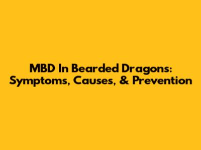 MBD In Bearded Dragons: Symptoms, Causes, & Prevention
