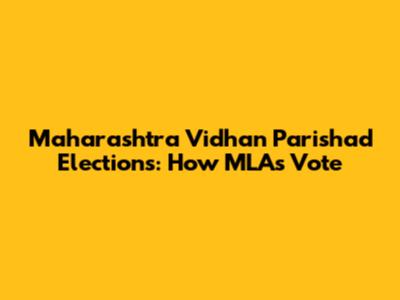 Maharashtra Vidhan Parishad Elections: How MLAs Vote