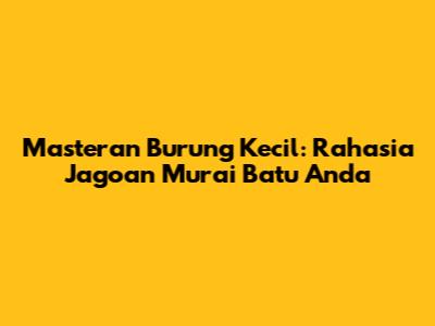 Masteran Burung Kecil: Rahasia Jagoan Murai Batu Anda