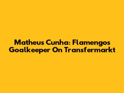 Matheus Cunha: Flamengo's Goalkeeper On Transfermarkt