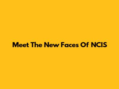 Meet The New Faces Of NCIS