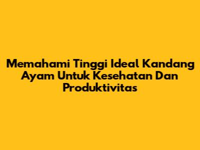 Memahami Tinggi Ideal Kandang Ayam Untuk Kesehatan Dan Produktivitas