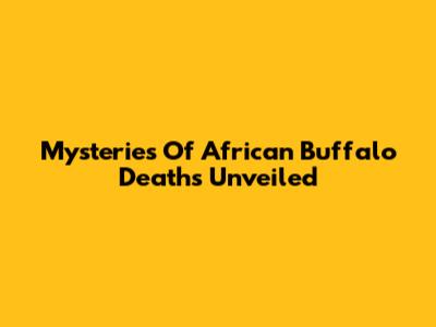 Mysteries Of African Buffalo Deaths Unveiled