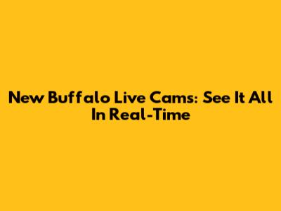 New Buffalo Live Cams: See It All In Real-Time