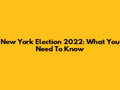 New York Election 2022: What You Need To Know