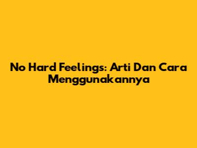 No Hard Feelings: Arti Dan Cara Menggunakannya