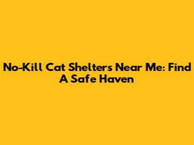 No-Kill Cat Shelters Near Me: Find A Safe Haven