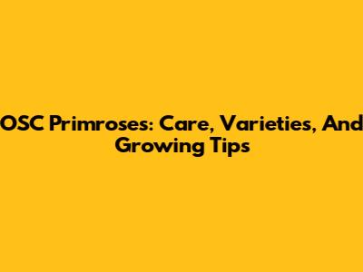 OSC Primroses: Care, Varieties, And Growing Tips