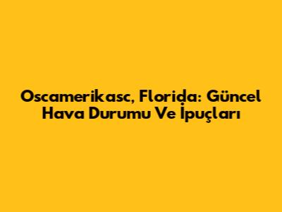 Oscamerikasc, Florida: Güncel Hava Durumu Ve İpuçları