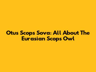 Otus Scops Sova: All About The Eurasian Scops Owl