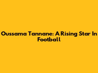 Oussama Tannane: A Rising Star In Football