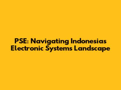PSE: Navigating Indonesia's Electronic Systems Landscape