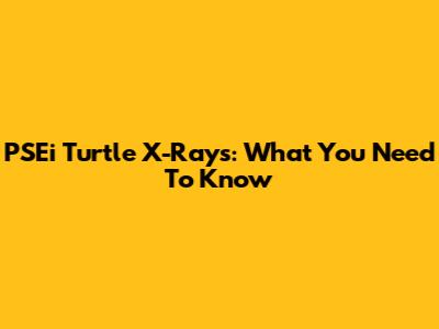 PSEi Turtle X-Rays: What You Need To Know