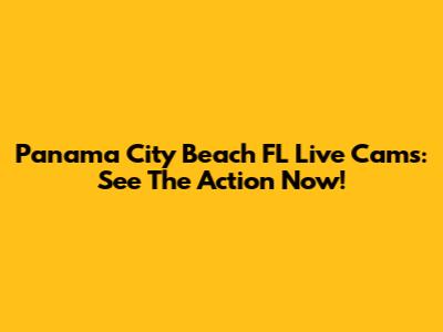 Panama City Beach FL Live Cams: See The Action Now!
