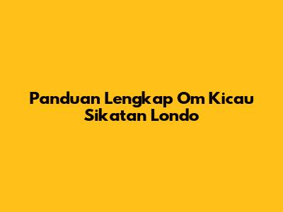 Panduan Lengkap Om Kicau Sikatan Londo