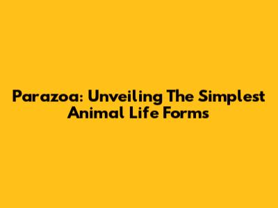Parazoa: Unveiling The Simplest Animal Life Forms