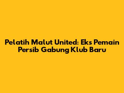 Pelatih Malut United: Eks Pemain Persib Gabung Klub Baru