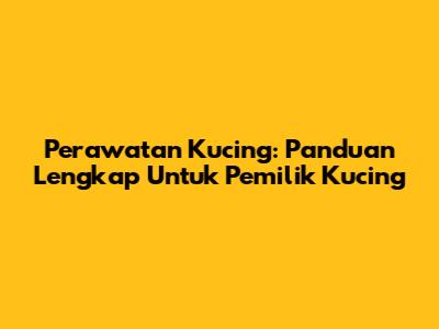 Perawatan Kucing: Panduan Lengkap Untuk Pemilik Kucing