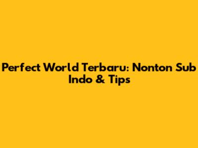 Perfect World Terbaru: Nonton Sub Indo & Tips