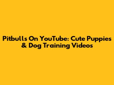 Pitbulls On YouTube: Cute Puppies & Dog Training Videos